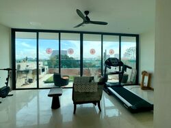 Serangoon Garden Estate (D19), Detached #482334321